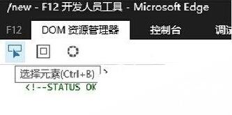 开发人员工具